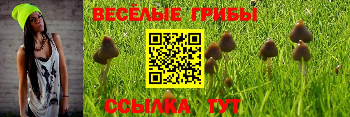 Галлюциногенные грибы ЛСД Маркс