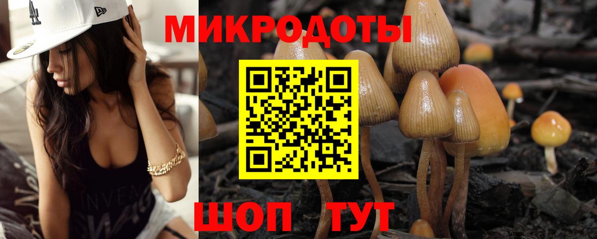 Маркс  Псилоцибиновые грибы прущие грибы  Вход с VPN 